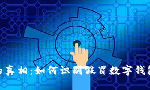 数字钱包的真相：如何识别假冒数字钱包及其风险