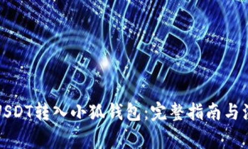 如何将USDT转入小狐钱包：完整指南与注意事项
