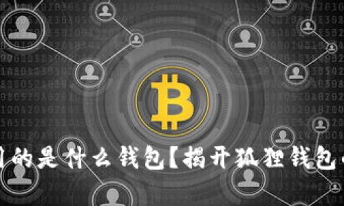 半只狐狸用的是什么钱包？揭开狐狸钱包的神秘面纱