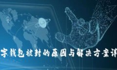 数字钱包被封的原因与解