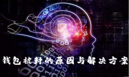 数字钱包被封的原因与解决方案详解