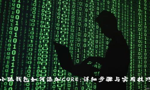 小狐钱包如何添加CORE：详细步骤与实用技巧