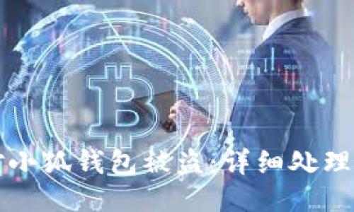如何应对小狐钱包被盗：详细处理视频指南