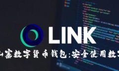 如何识别和避免山寨数字货币钱包：安全使用数