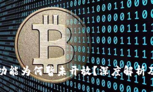 数字钱包功能为何暂未开放？深度解析及解决方案