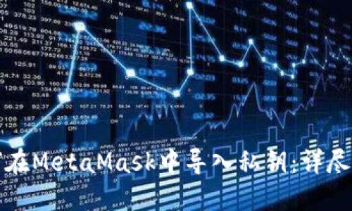 如何在MetaMask中导入私钥：详尽指南