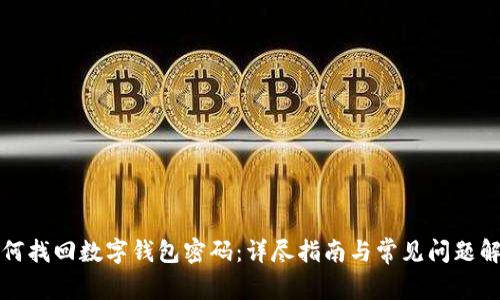 如何找回数字钱包密码：详尽指南与常见问题解析