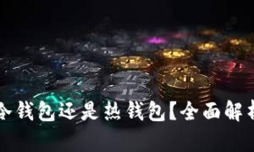 小狐钱包是冷钱包还是热钱包？全面解析与用户指南