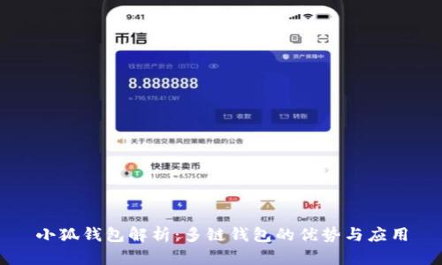 小狐钱包解析：多链钱包的优势与应用