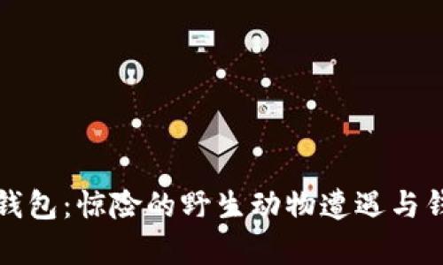 狐狸咬我的钱包：惊险的野生动物遭遇与钱包保养指南
