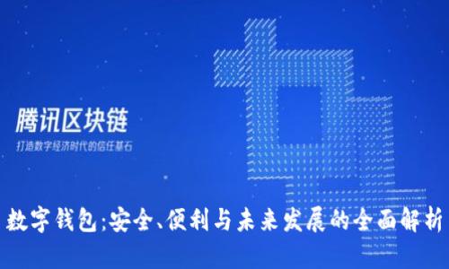 数字钱包：安全、便利与未来发展的全面解析