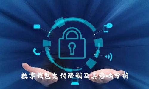 数字钱包支付限制及其影响分析