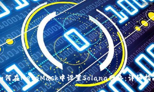 如何在MetaMask中设置Solana网络：详细指南