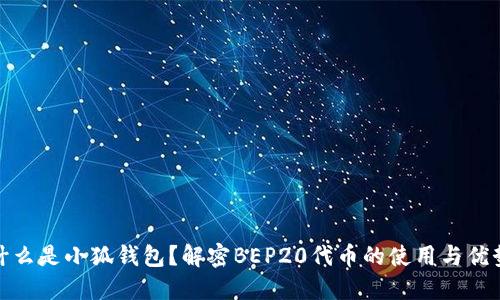 什么是小狐钱包？解密BEP20代币的使用与优势