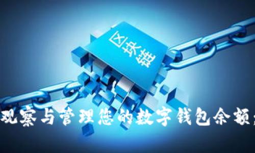 如何有效观察与管理您的数字钱包余额：全面指南