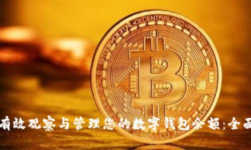 如何有效观察与管理您的数字钱包余额：全面指南