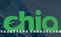 如何查看数字钱包账单：全面指南与常见问题解
