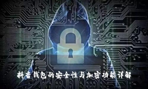 抖音钱包的安全性与加密功能详解