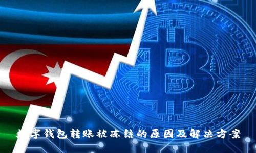 数字钱包转账被冻结的原因及解决方案