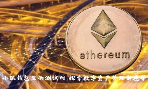 小狐钱包里的测试网：探索数字资产管理新境界