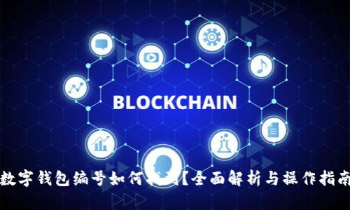 数字钱包编号如何找到？全面解析与操作指南