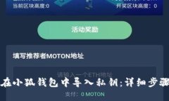 如何在小狐钱包中导入私钥：详细步骤指南