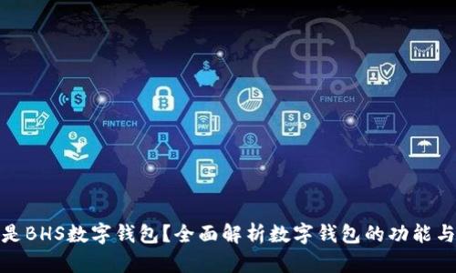 什么是BHS数字钱包？全面解析数字钱包的功能与优势