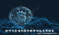 好听且富有创意的数字钱包名字推荐