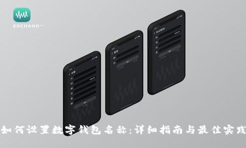 如何设置数字钱包名称：详细指南与最佳实践