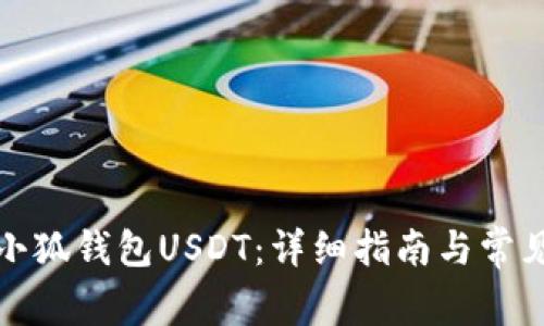 如何设置小狐钱包USDT：详细指南与常见问题解答