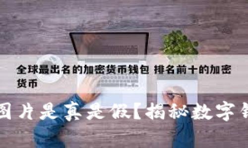 数字钱包余额图片是真是假？揭秘数字钱包背后的真相