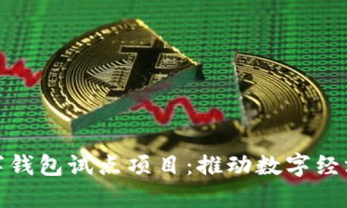 探索浙江数字钱包试点项目：推动数字经济发展新路径