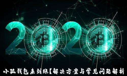 
小狐钱包未到账？解决方案与常见问题解析