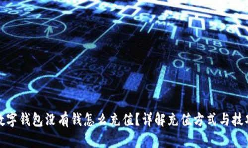 数字钱包没有钱怎么充值？详解充值方式与技巧