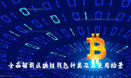 全面解析区块链钱包种类及其使用场景
