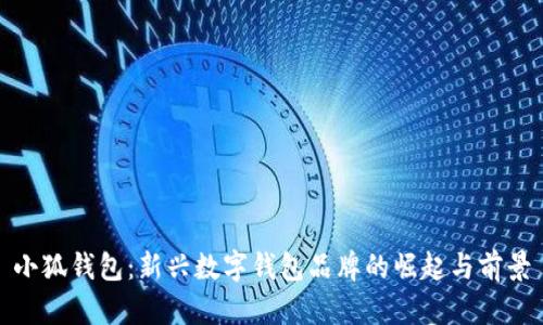 小狐钱包：新兴数字钱包品牌的崛起与前景