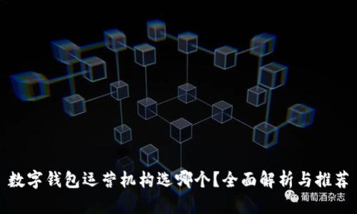 数字钱包运营机构选哪个？全面解析与推荐