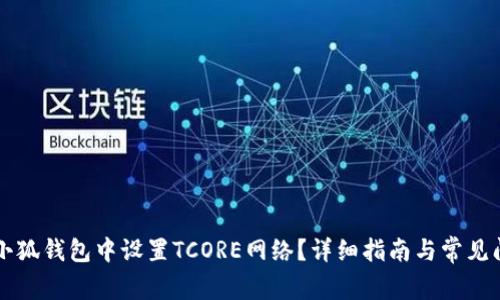 怎样在小狐钱包中设置TCORE网络？详细指南与常见问题解析