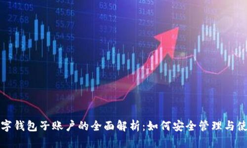 数字钱包子账户的全面解析：如何安全管理与使用