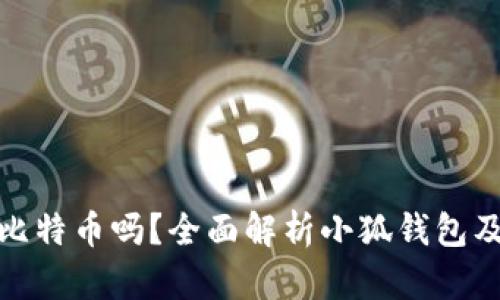 : 小狐钱包能装比特币吗？全面解析小狐钱包及其加密货币功能