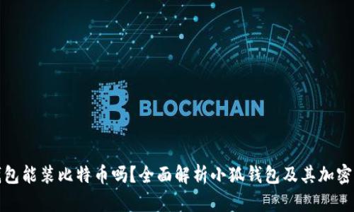 : 小狐钱包能装比特币吗？全面解析小狐钱包及其加密货币功能