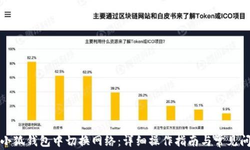 
如何在小狐钱包中切换网络：详细操作指南与常见问题解答