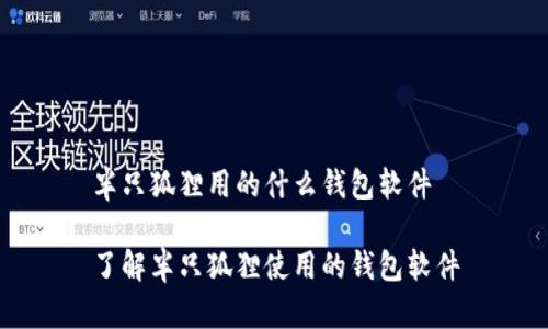半只狐狸用的什么钱包软件

了解半只狐狸使用的钱包软件