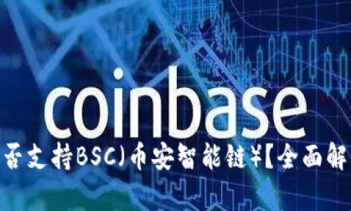 MetaMask是否支持BSC（币安智能链）？全面解析与使用指南