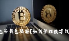 什么是数字钱包子钱包限