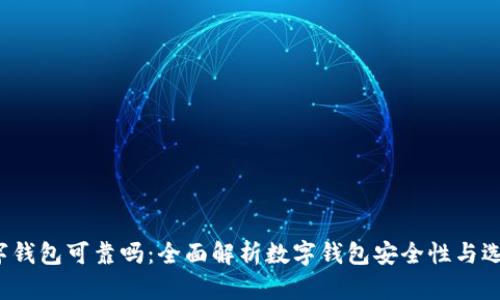 Top数字钱包可靠吗：全面解析数字钱包安全性与选择指南