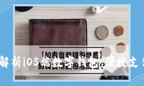 bianoti全面解析iOS端数字钱包：便捷支付与安全保障