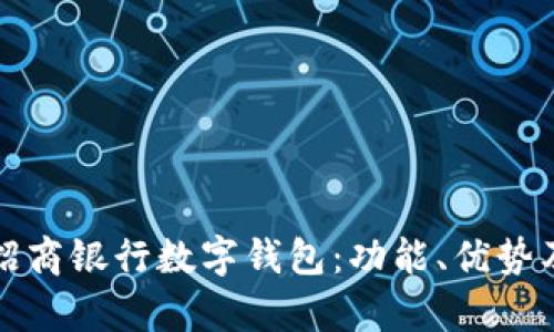 全面解析招商银行数字钱包：功能、优势及使用指南