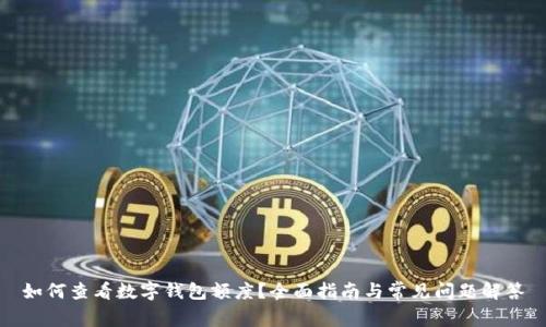 如何查看数字钱包额度？全面指南与常见问题解答