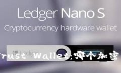 MetaMask与Trust Wallet：哪个加